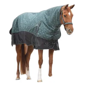 Outdoor paardendeken met halsbedekking QHP 1200D Turnout 300g image-1
