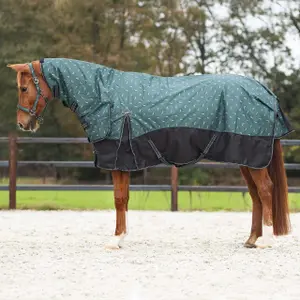 Outdoor paardendeken met halsbedekking QHP 1200D Turnout 300g image-0