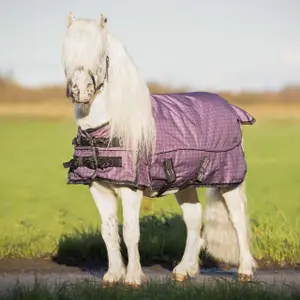 Outdoor paardendeken QHP 600D Turnout Collection falabella 150g image-1