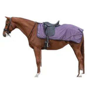 Fleecedeken voor paarden QHP 1200D Turnout Collection image-0