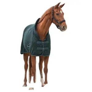 Presentatiedeken voor paarden QHP Avélie image-0