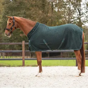 Presentatiedeken voor paarden QHP Avélie image-1