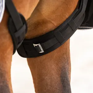 Protección de correas de muslo para caballo QHP (x2) image-2