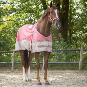 Waterproof cover collection for horse QHP 0 g image-1