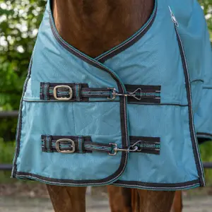 Waterproof cover collection for horse QHP 0 g image-1