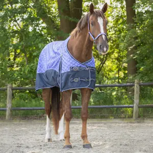 Waterproof cover collection for horse QHP 0 g image-1