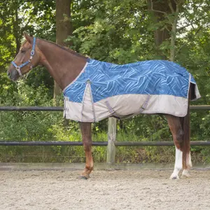 Couverture imperméable collection pour cheval QHP 0 g image-0