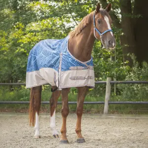 Couverture imperméable collection pour cheval QHP 0 g image-1