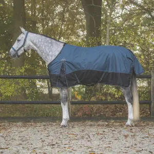 6379-myb-fleecefilt-for-hastar-qhp-collection-300g-mystiskt-blatt