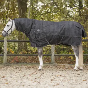 6383-mid-hasttacke-med-hals-qhp-collection-300g-midnatt