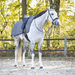 Fleece-Nierenabdeckung für Pferde QHP Collection image-1