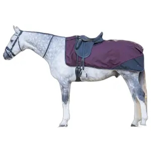 Nierendecke für Pferd Polar QHP 1200D image-1