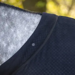 Polar show blanket for horse QHP Zahra image-3