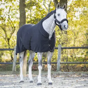 Polar show blanket for horse QHP Zahra image-1