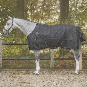 6392-mid-coperta-da-paddock-per-cavalli-qhp-collection-300g-mezzanotte