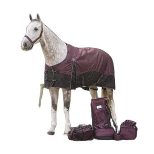 6392-wro-coperta-da-paddock-per-cavalli-qhp-1200d-300g-vino-rosso