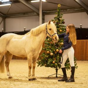 Lange Weihnachtsmuster Reitsocken für Damen QHP image-2