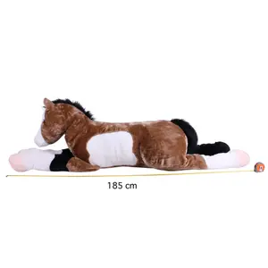 Plys QHP Star image-0