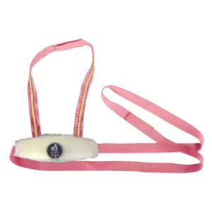 Spielzeug Pferdegeschirr QHP image-0