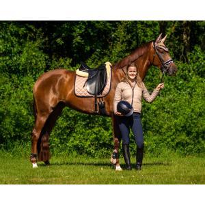 Pantalon équitation mid grip femme QHP Summer image-2