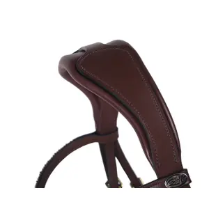 Bridons équitation QHP Lupine image-1