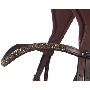 Bridons équitation QHP Lupine image-2