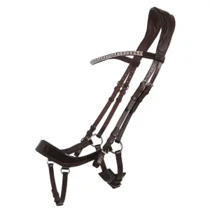 Trensenzaum QHP Eris image-0