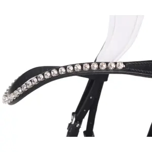 Riding bridles QHP Nehza image-2