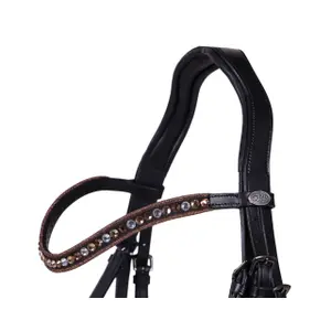 Anatomical riding bridles QHP Orlando image-2