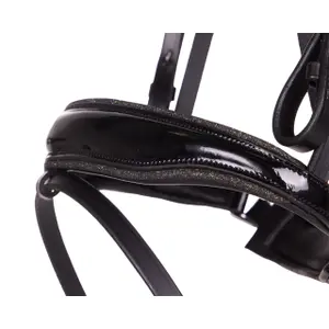 Trense Reiten QHP Orlando image-3