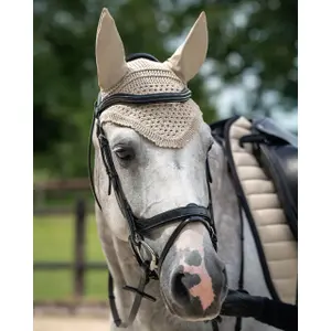 Uzda dla koni QHP Salerno image-4