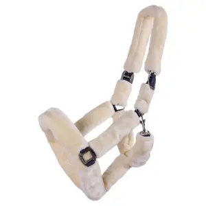 1097-gscr-halter-qhp-alaska-gra-kram