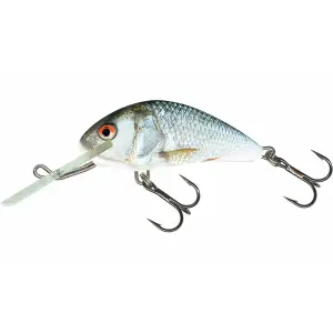 Lure Salmo Hornet SNK 4g image-0