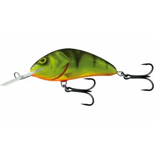 Επιπλέον δόλωμα Salmo Hornet 36g image-0