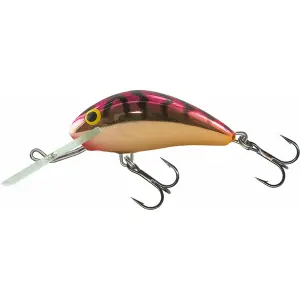 Leurre flottant Salmo hornet 5 cm image-0