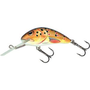 Lure Salmo H6F image-1