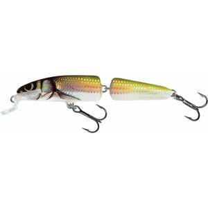 Floating lure fish Salmo fanatic image-0