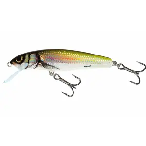 Lure Salmo Minnow SNK 8g image-0