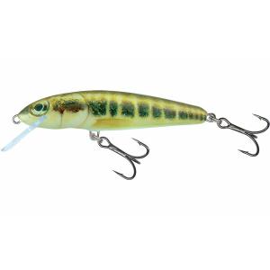 qmw027-schwimmender-koder-salmo-minnow-6g-mehrfarbig-7-cm