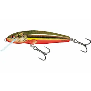 Lure Salmo minnow flo 5 cm image-0