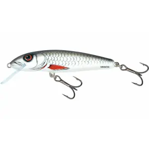 Atraer a Salmo Minnow SNK 8g image-0