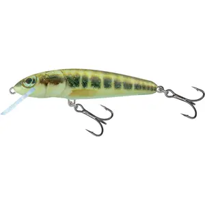 Lure Salmo M6F Spirlin image-0