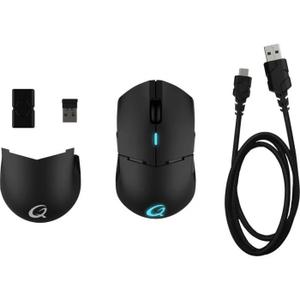 Souris 16K DPI 8 boutons sans fil Qpad DX900