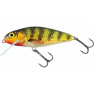 Τέχνασμα Λαβράκι Salmo FLO 36g image-0