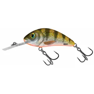 Floating lure Salmo Rattlin' Hornet 10,5g image-0