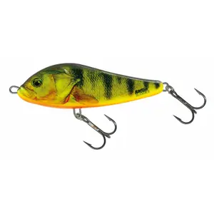 Lure Salmo RC11F 21g image-0