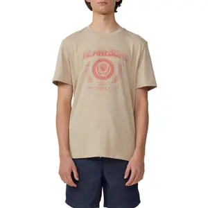 Basic Round Neck T-Shirt with Print QS image-2