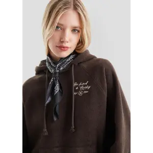 Women's Trendy Embroidered Fleece Hooded Sweatshirt QS image-3