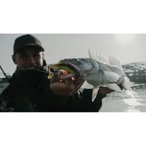 Lot of 7 lures Quantum 4street B-Ass Shad image-4