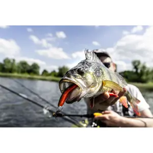 Juego de 7 señuelos Quantum 4street B-Ass Shad image-2